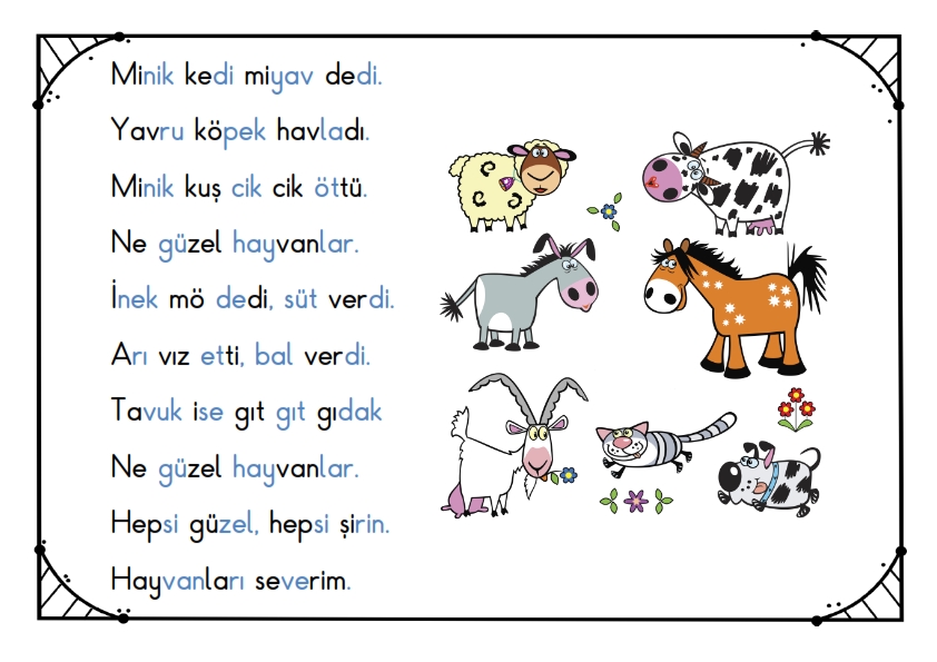Y u s t. 1.Sinif. 1 B sinfi. Ренкли сачлар.