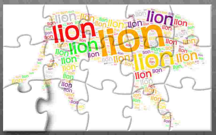 2.10 Animals - Lion puzzle