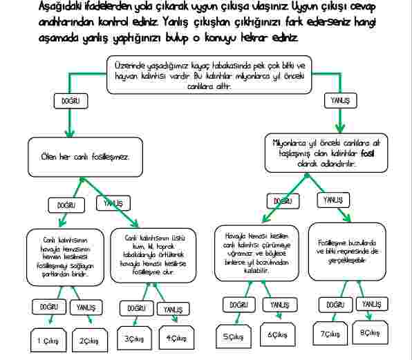 Fosil ( DİYAGRAM ÇALIŞMASI)