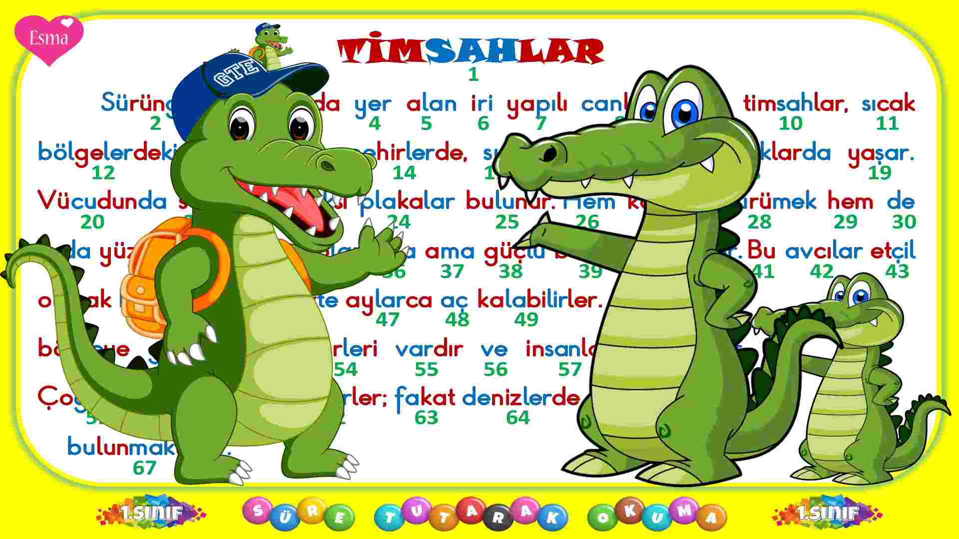 1.Sınıf Dakika Tutarak Okuma -42 /Timsahlar Metni/ PDF