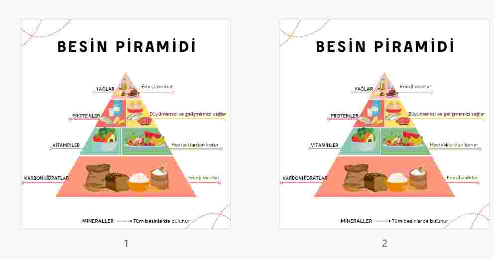 4.SINIF FEN BİLİMLERİ 5