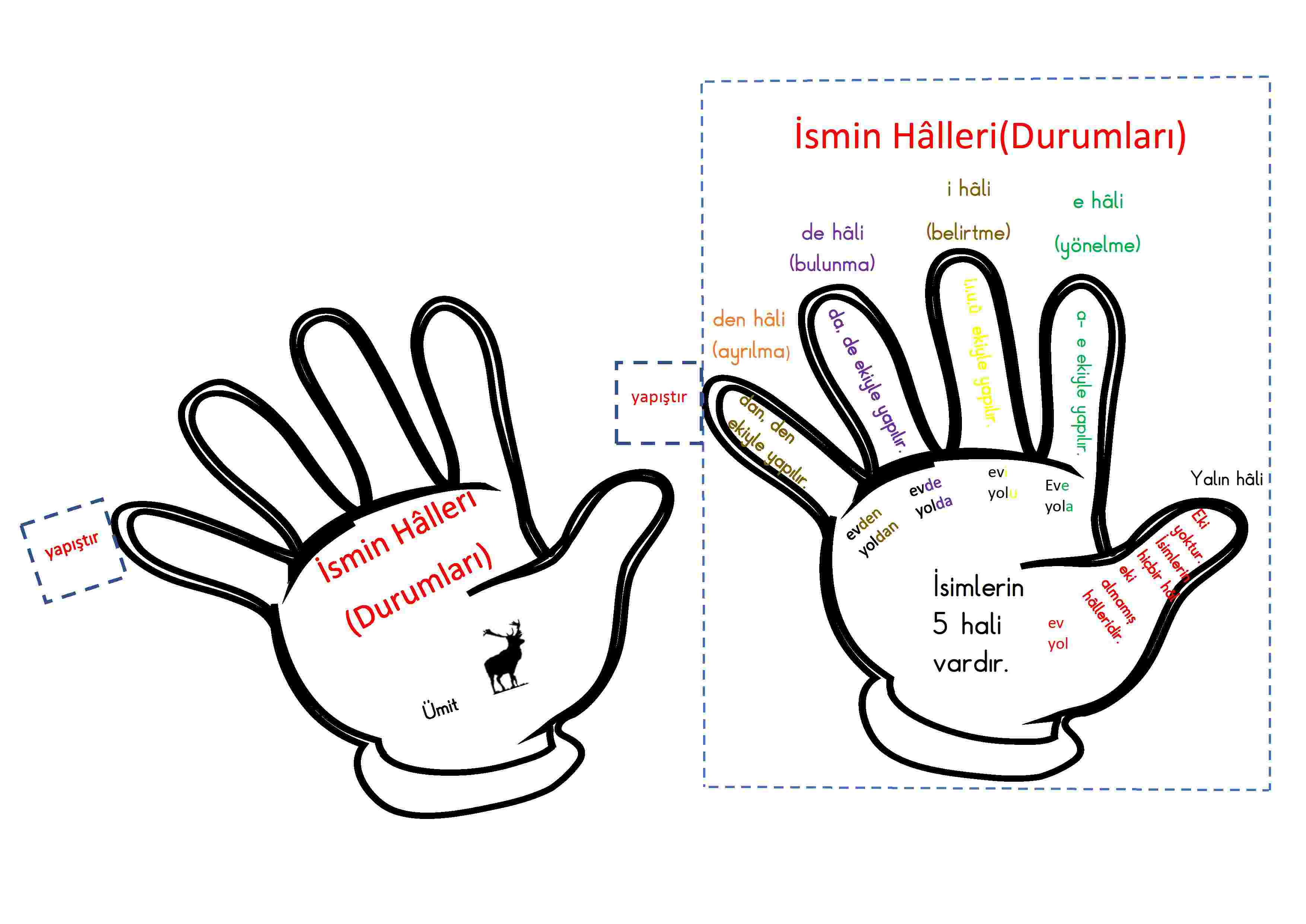 ismin halleri interaktif defter çalışması