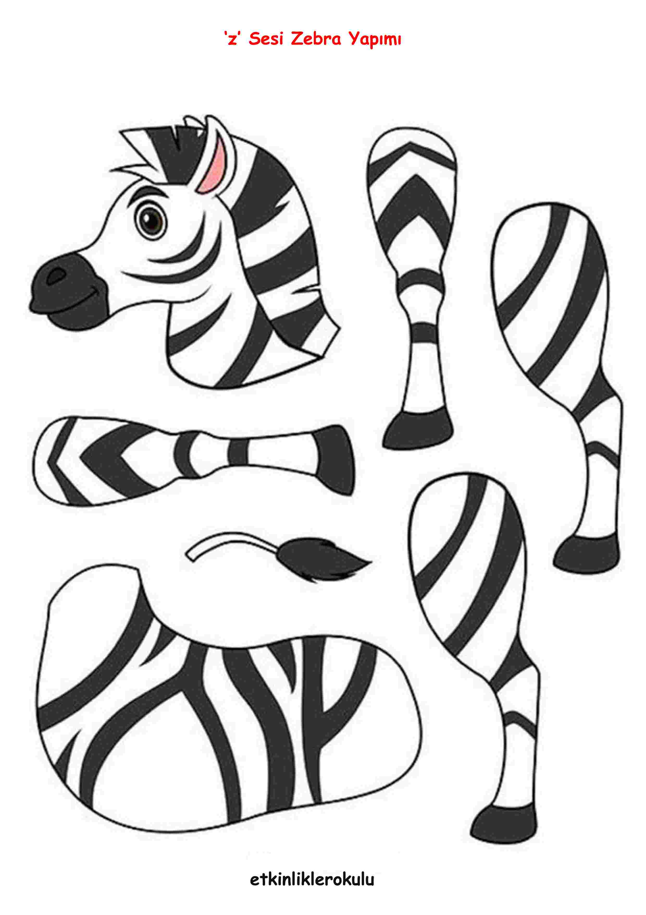 z Sesi Zebra Yapımı