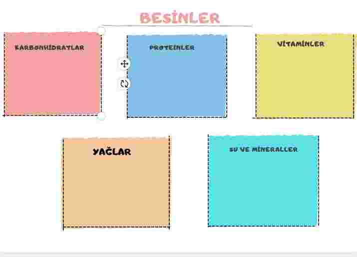 Besinler etkileşimli defter çalışması