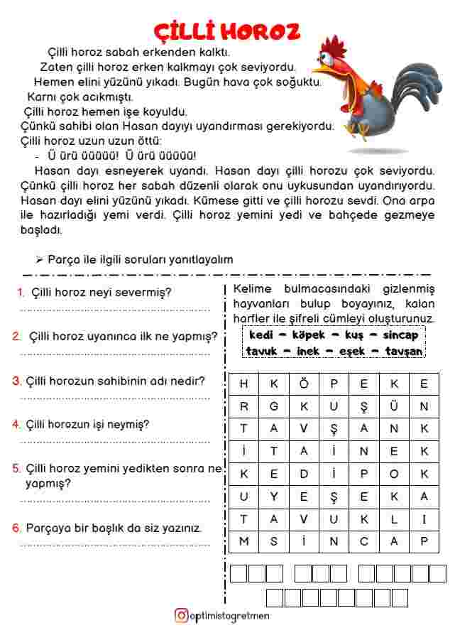 2. Sınıf Türkçe Çilli Horoz Metni Okuma Anlama Çalışma Kağıdı