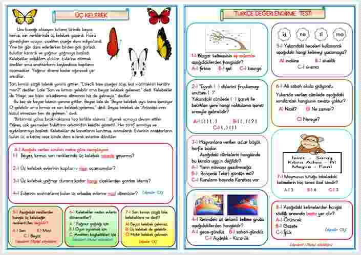 1.SINIF ÜÇ KELEBEK TÜRKÇE DEĞERLENDİRME ÇALIŞMASI   13