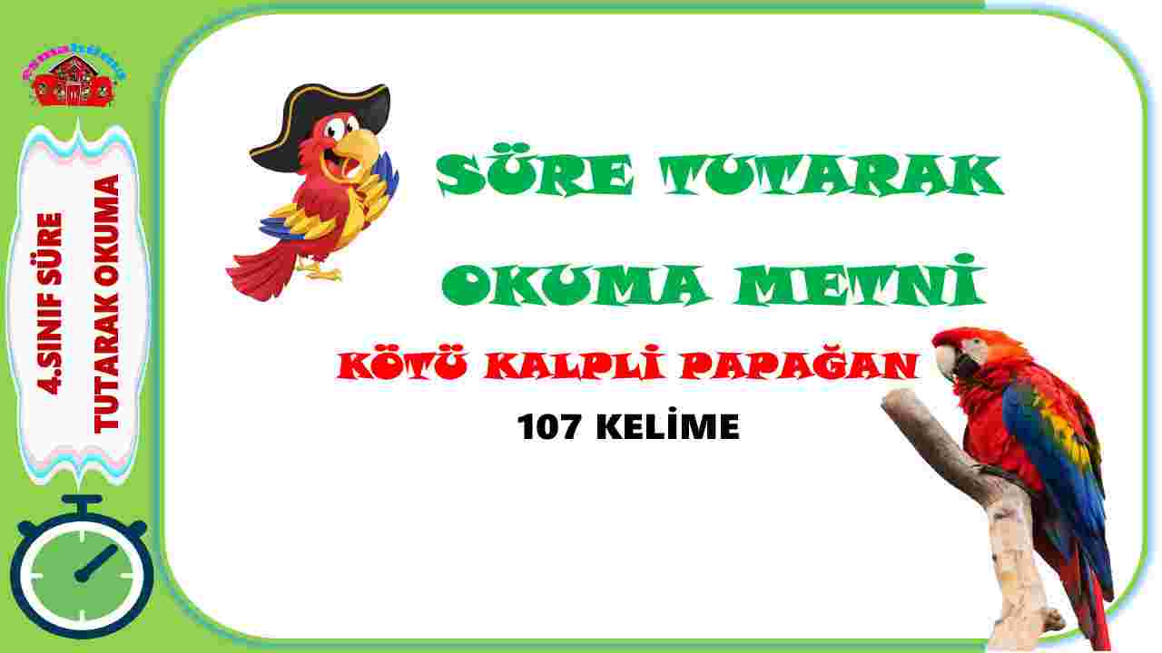 4.Sınıf Süre Tutarak Okuma Çalışması -3 I Kötü Kalpli Papağan Metni I 