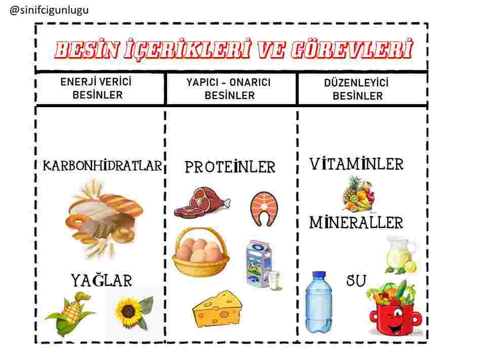 BESİNLERİMİZ 2 ADET DEFTER ÇALIŞMASI