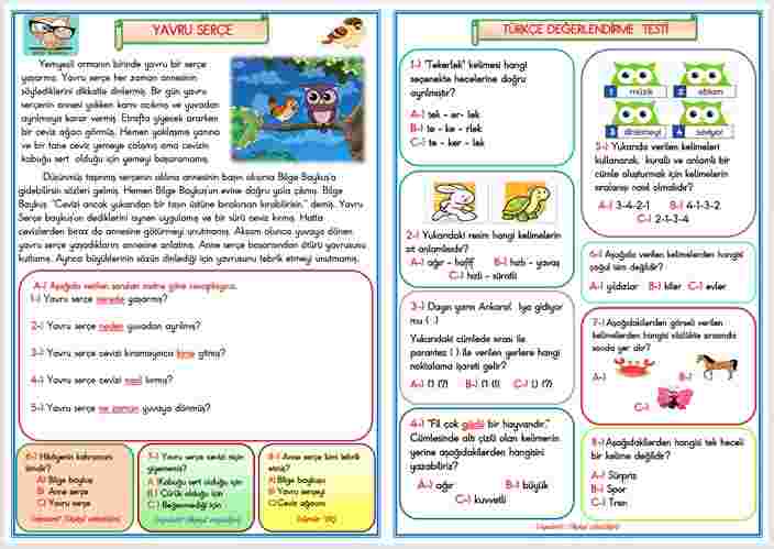 1.SINIF YAVRU SERÇE TÜRKÇE DEĞERLENDİRME ÇALIŞMASI  11