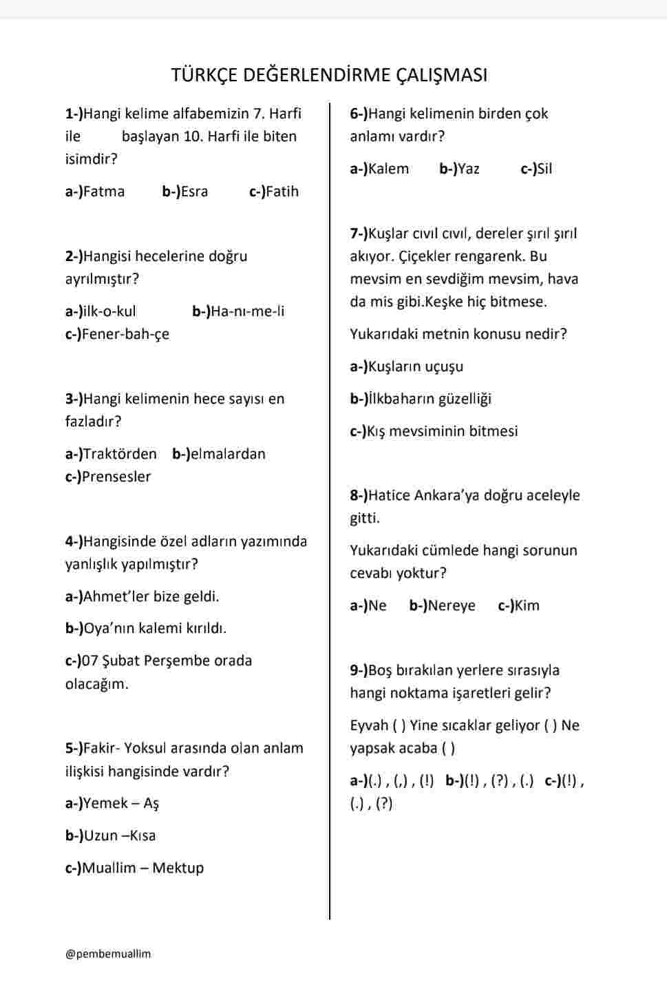 İkinci Sinıf Türkçe Degerlendirme calismasi