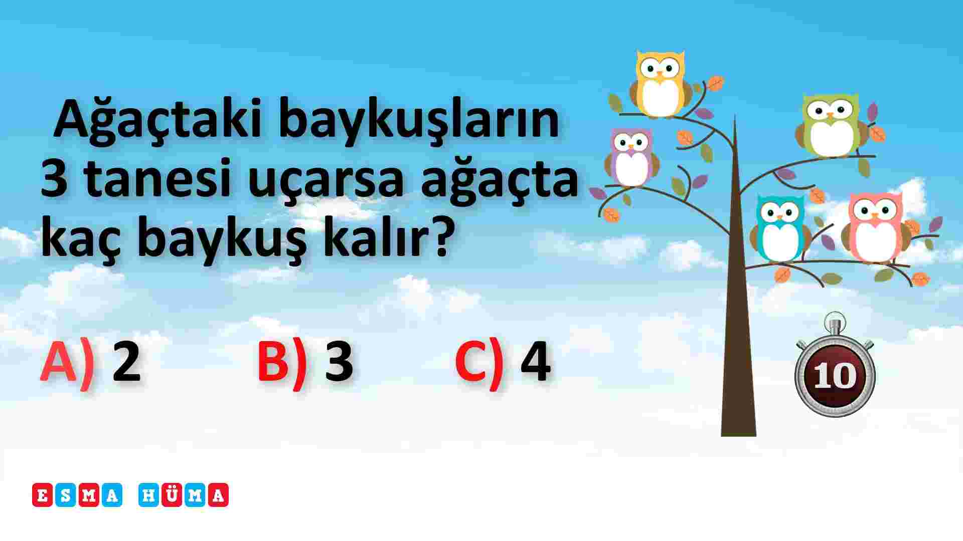 1. Sınıf - Matematik : Test Çöz ! / Çıkarma İşlemi ( 5 Soru 5 Cevap )