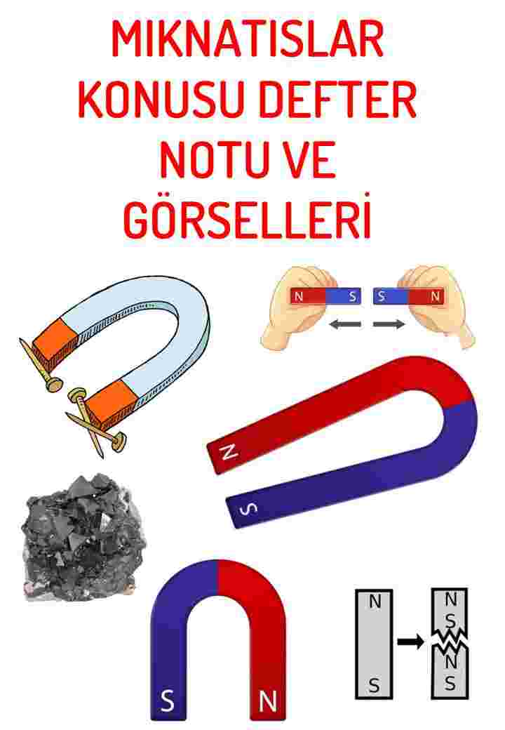 Mıktanıslar Konusu Görsel ve Notları